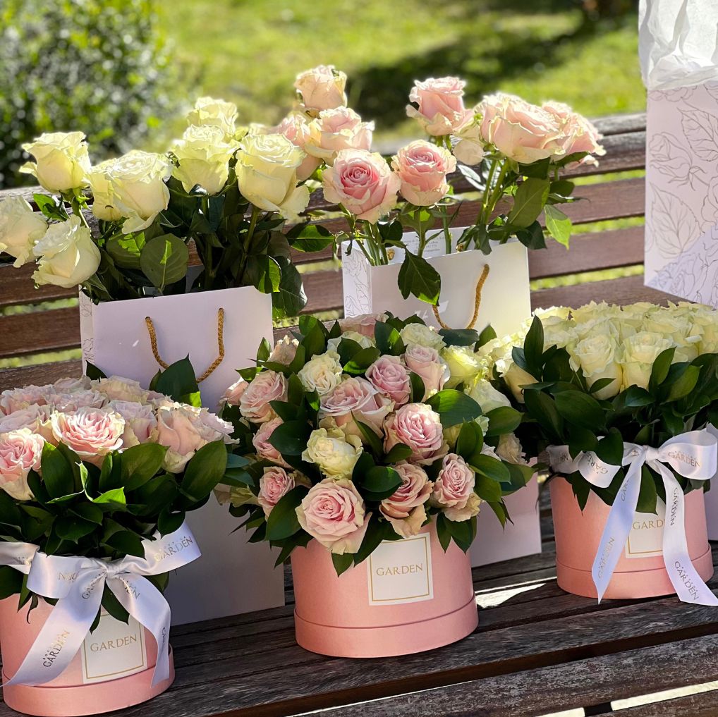 Box Clara 20 rosas Brancas