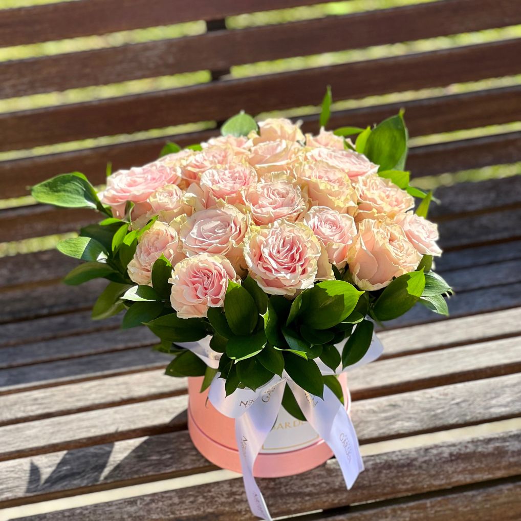 Box Clara 20 rosas cor de Rosa