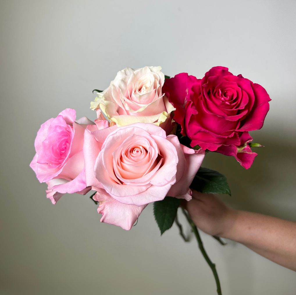 Rosas unidades