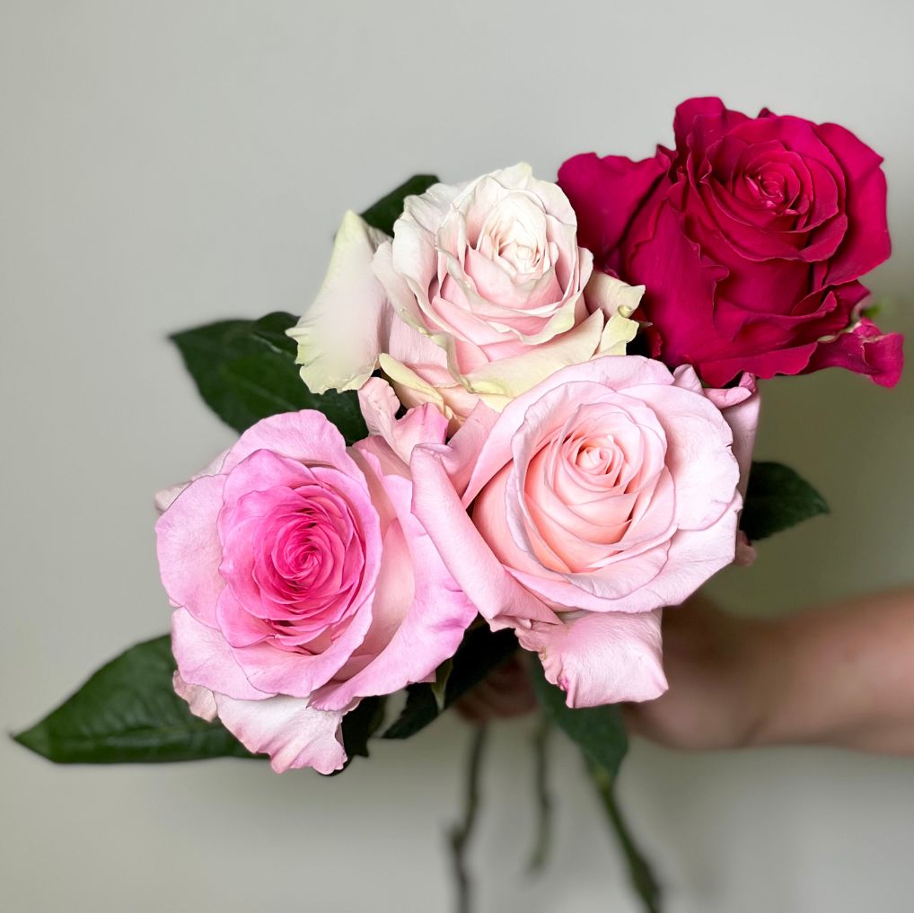 Rosas unidades
