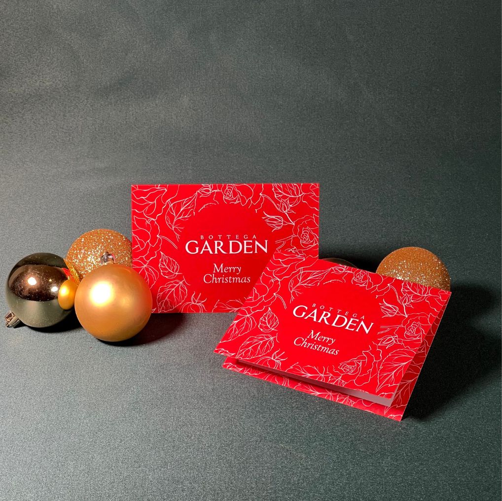 Cartao Bottega