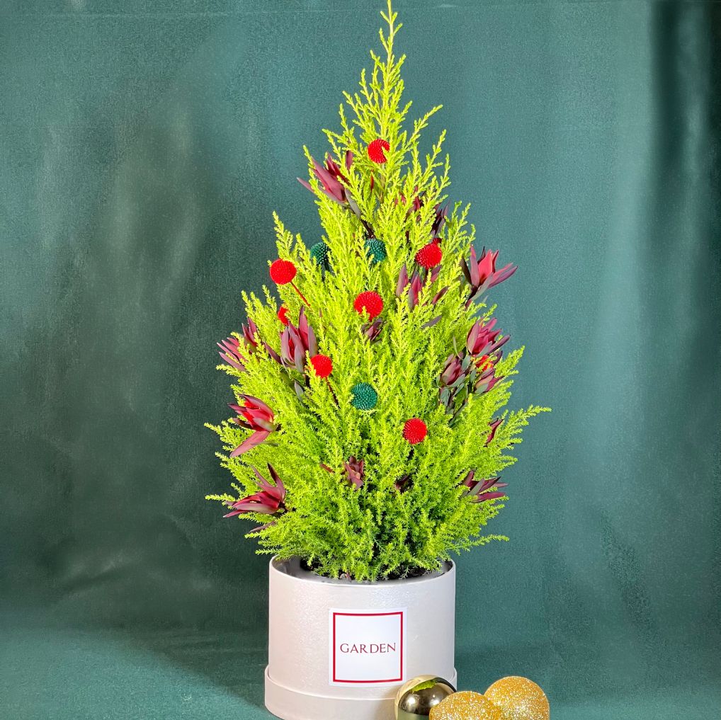 Pinheirinho de Natal Com Bolinhas Coloridas