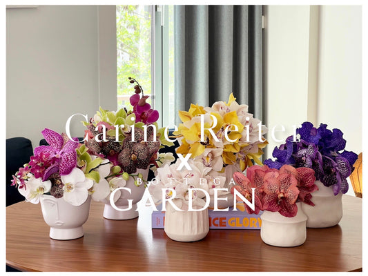 Carine Reiter X Bottega Garden