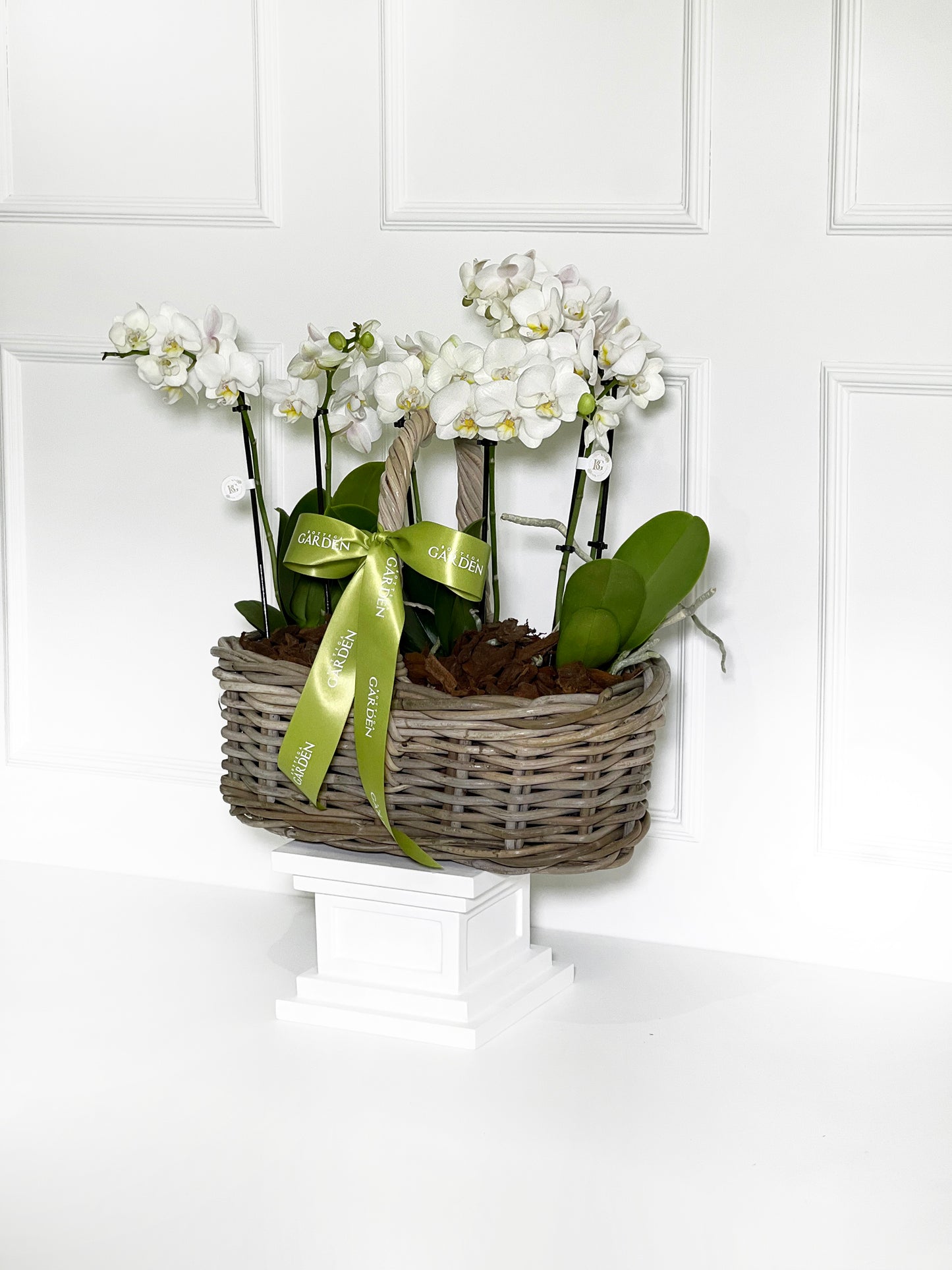 CESTA RATTAN COM MINI ORQUÍDEAS BRANCAS