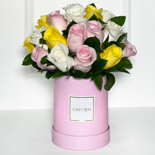 BOX CLASSIC DOROTHY LIGHT PINK