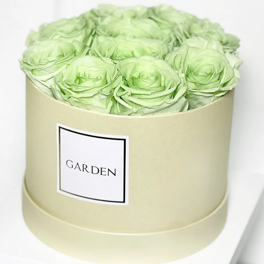 BOX ROSAS PRESERVADAS VERDE TAMANHO M