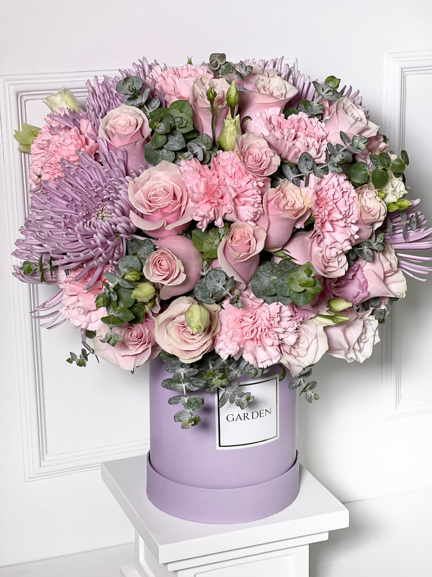 BOX CAMPESTRE PINK
