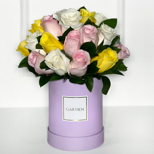 BOX CLASSIC DOROTHY LIGHT PURPLE