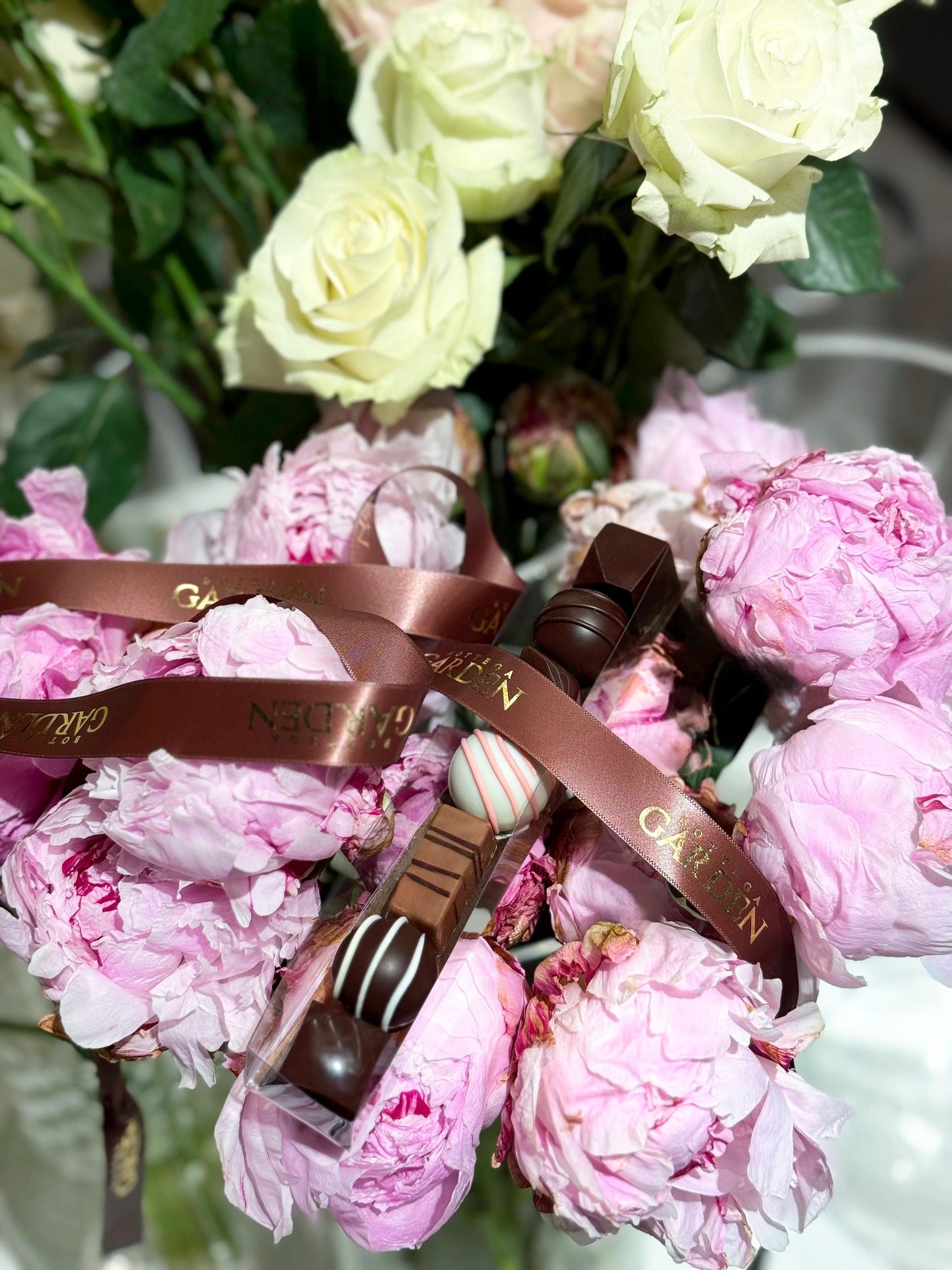 REGLETTE COLEÇÃO DELUXE