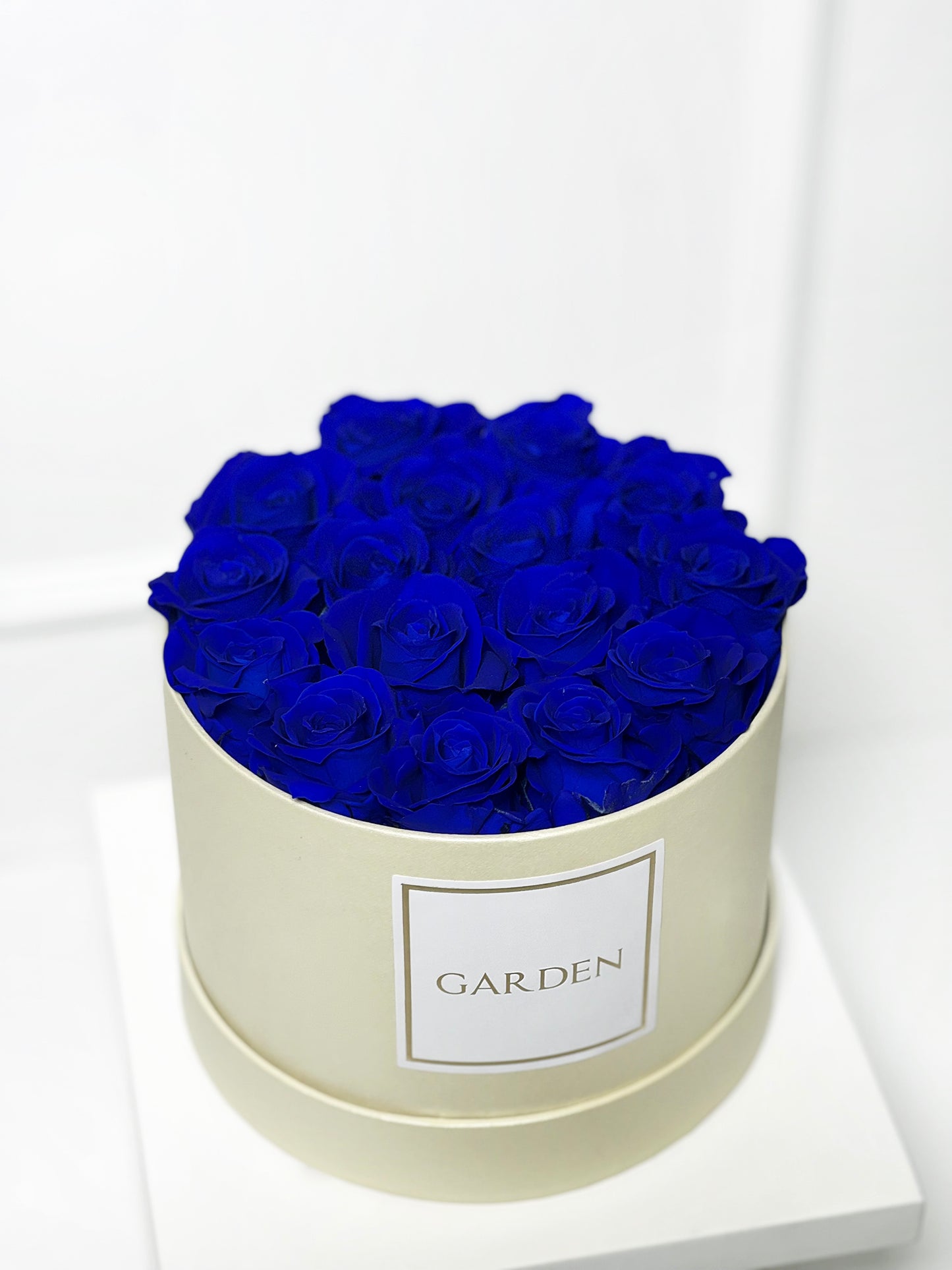 BOX ROSAS PRESERVADAS AZUL TAMANHO P