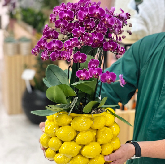 VASO FRUTTI LIMONI COM ORQUÍDEA 6 PÉS