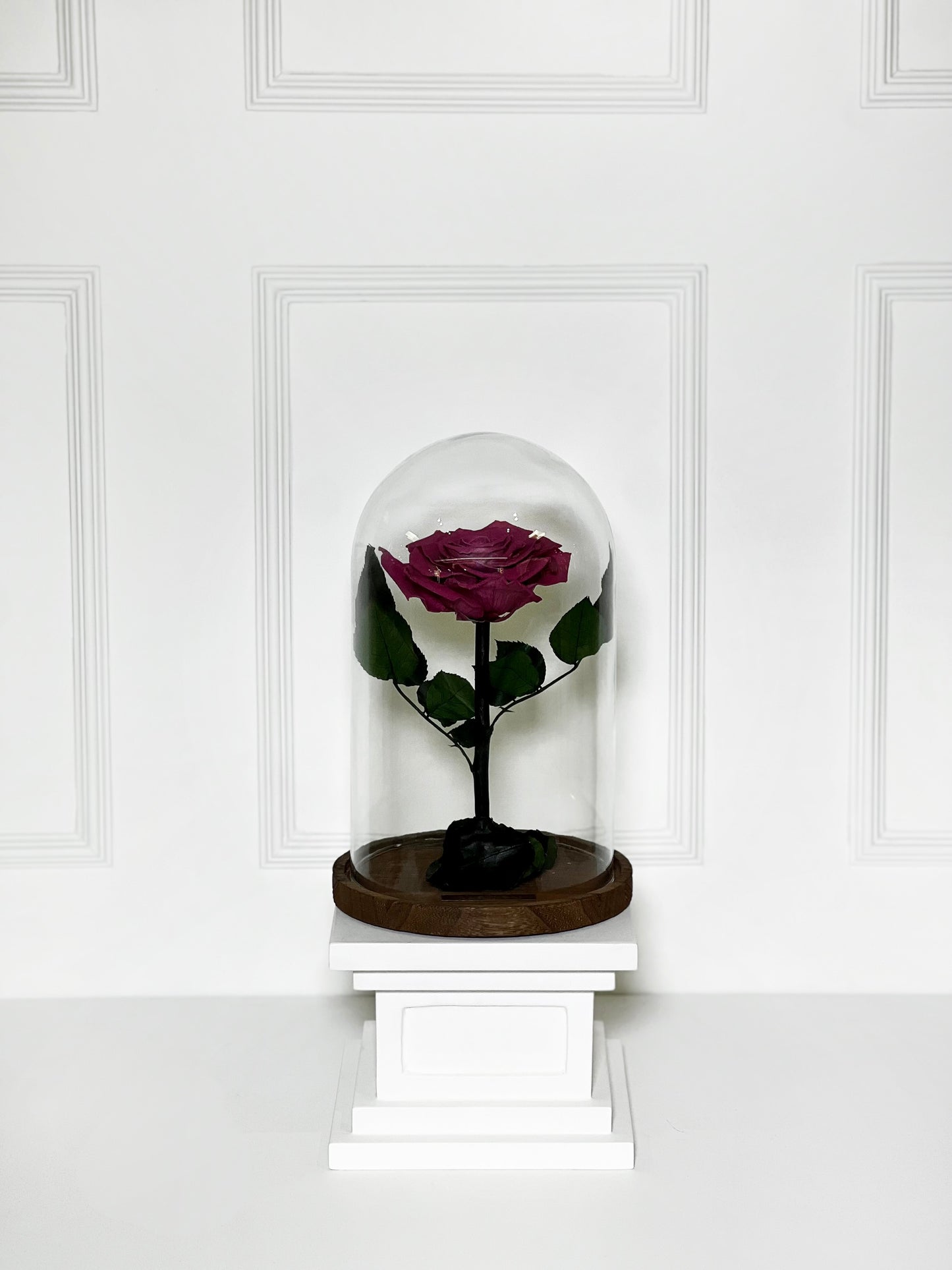 ROSA PRESERVADA DARK PINK M