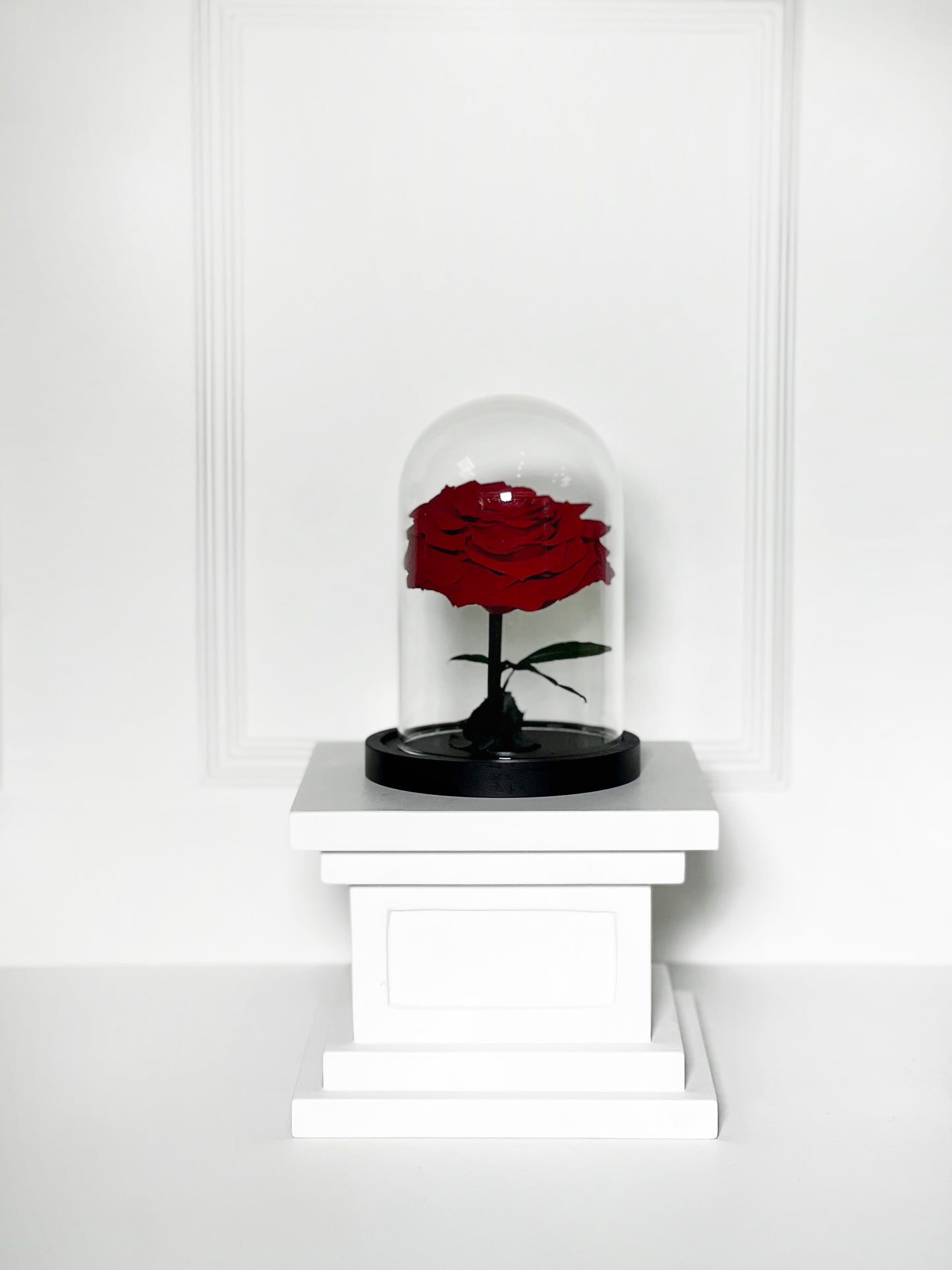 ROSA PRESERVADA VERMELHA COM CÚPULA TAMANHO P