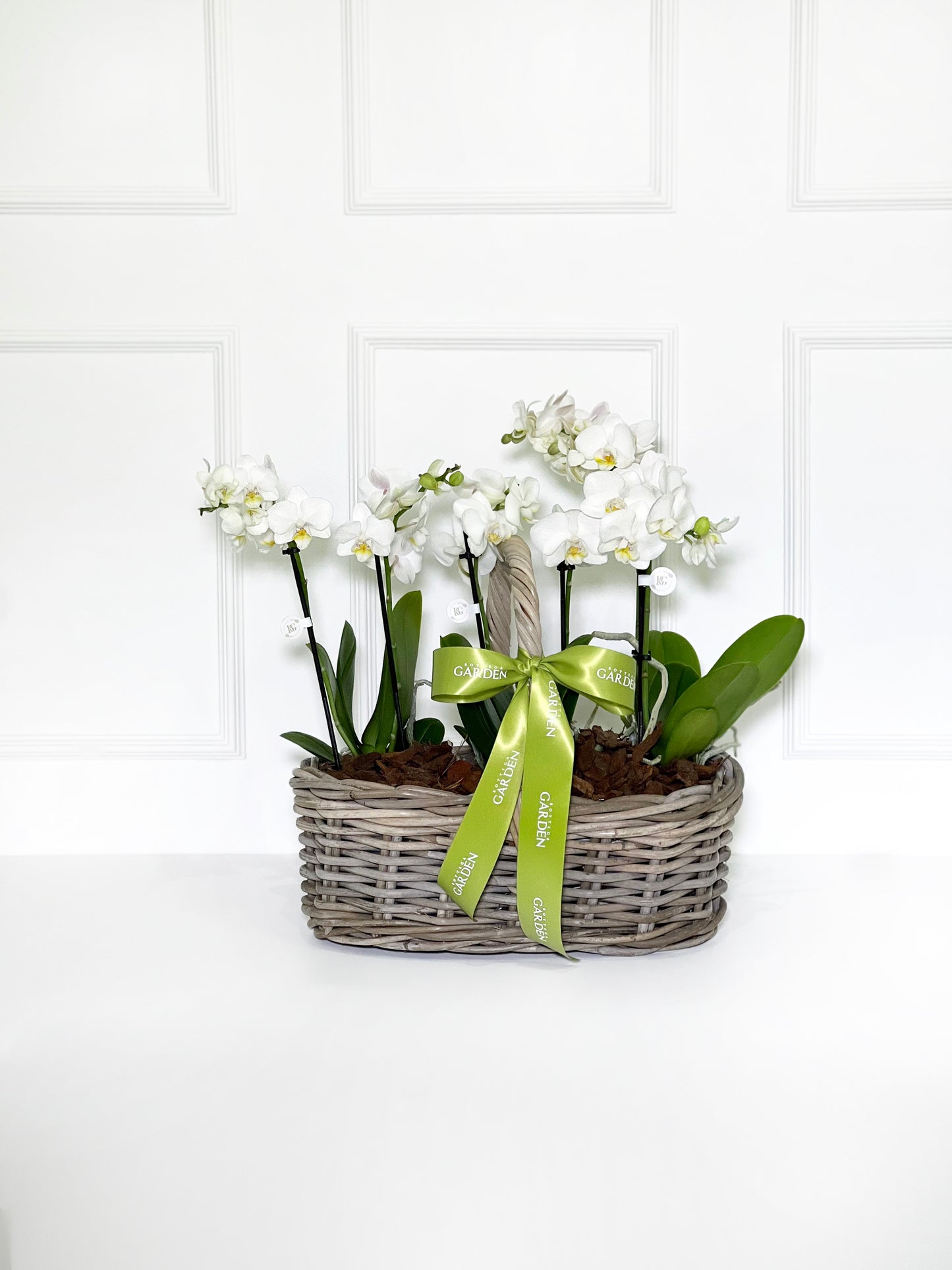 CESTA RATTAN COM MINI ORQUÍDEAS BRANCAS