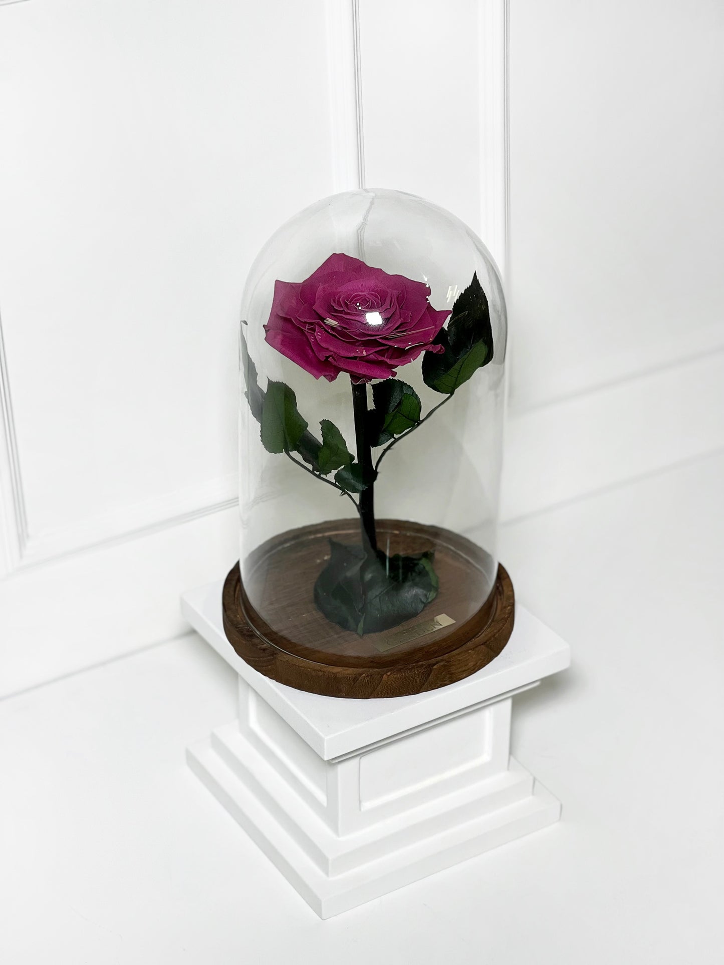 ROSA PRESERVADA DARK PINK M