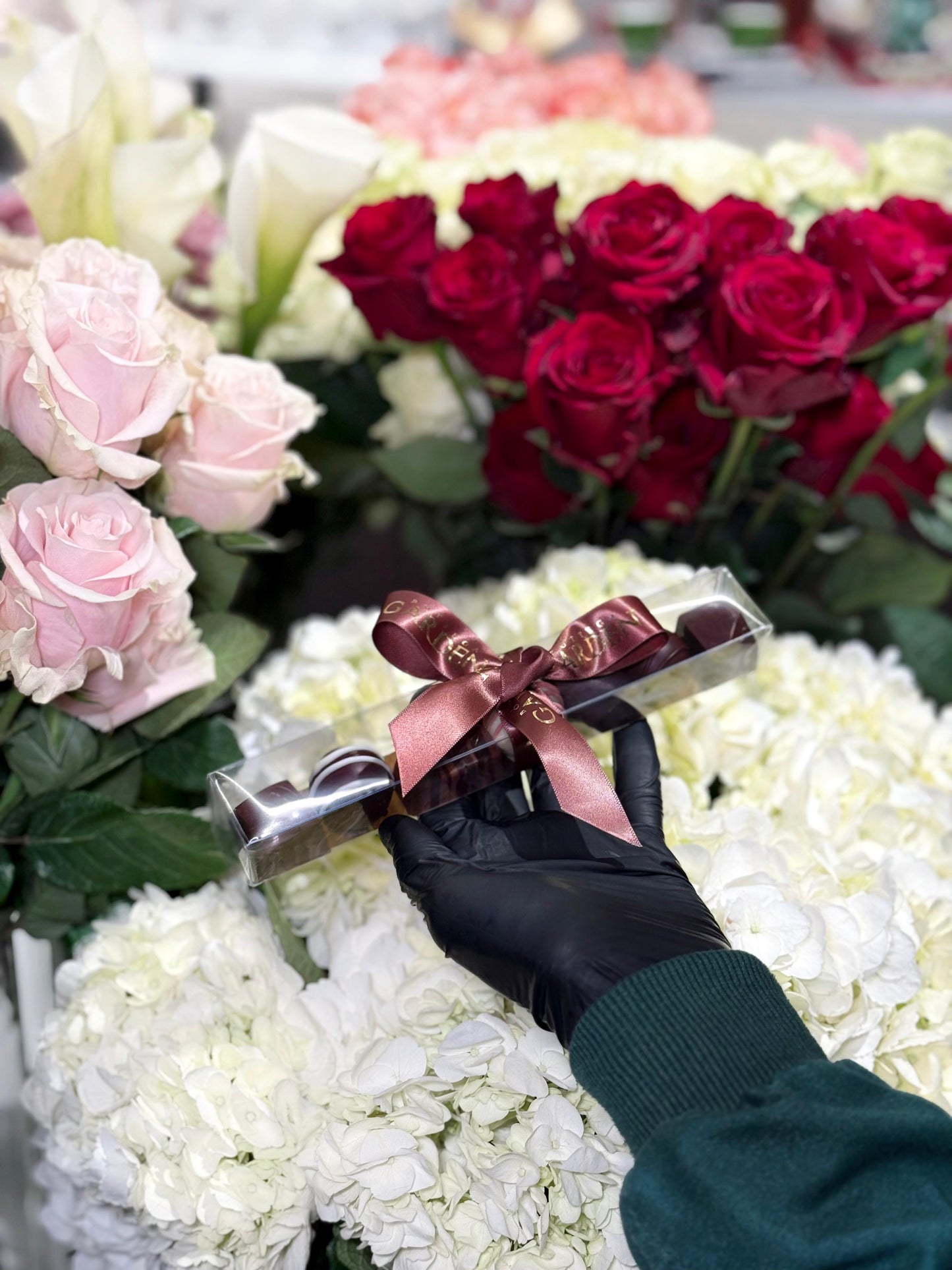 REGLETTE COLEÇÃO DELUXE