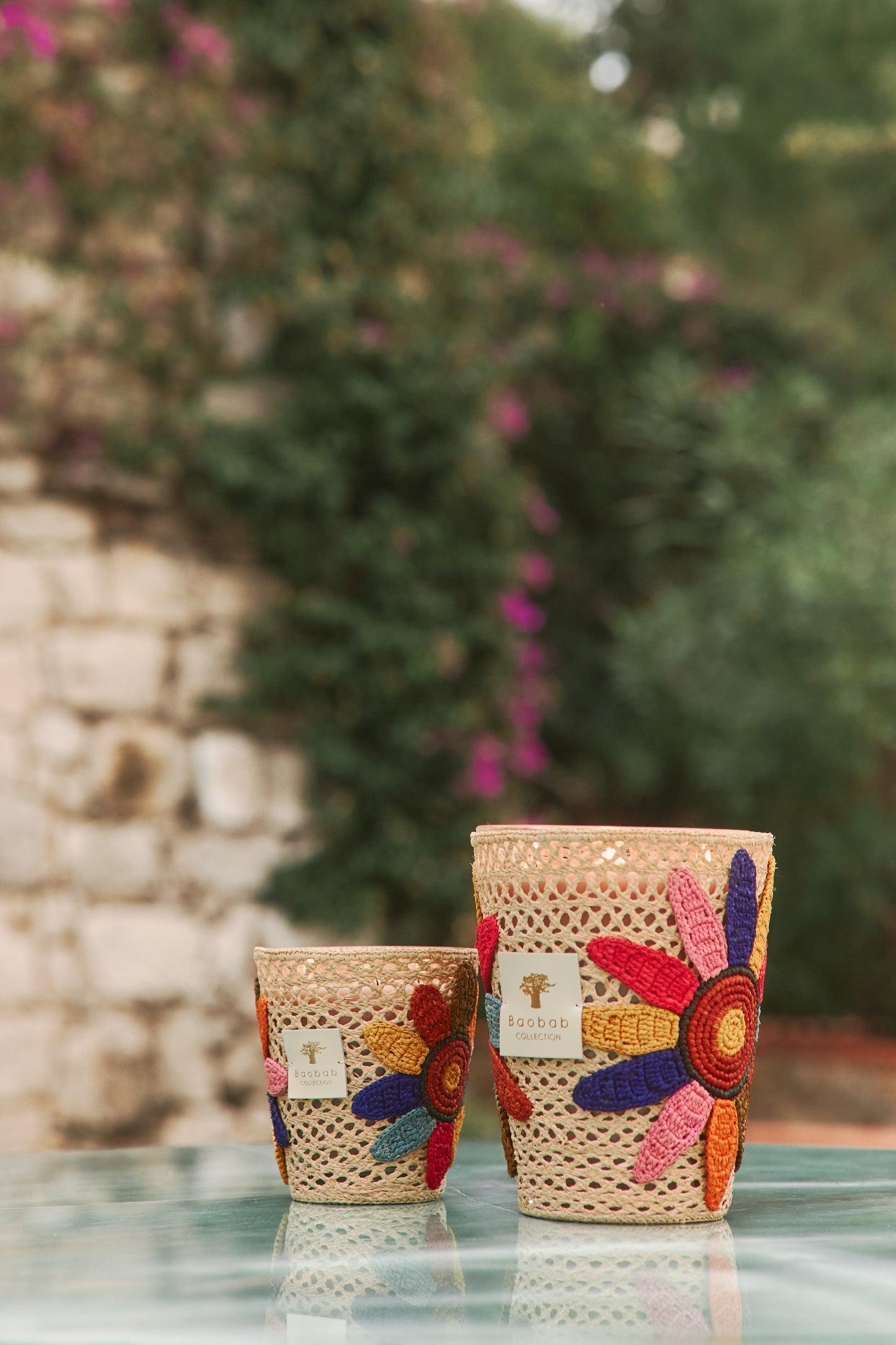 Tournesol Girassol Baobab Collection