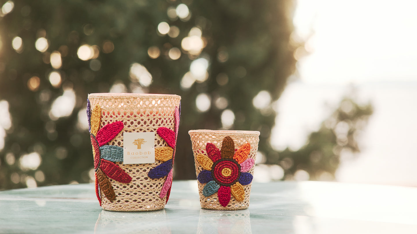 Tournesol Girassol Baobab Collection