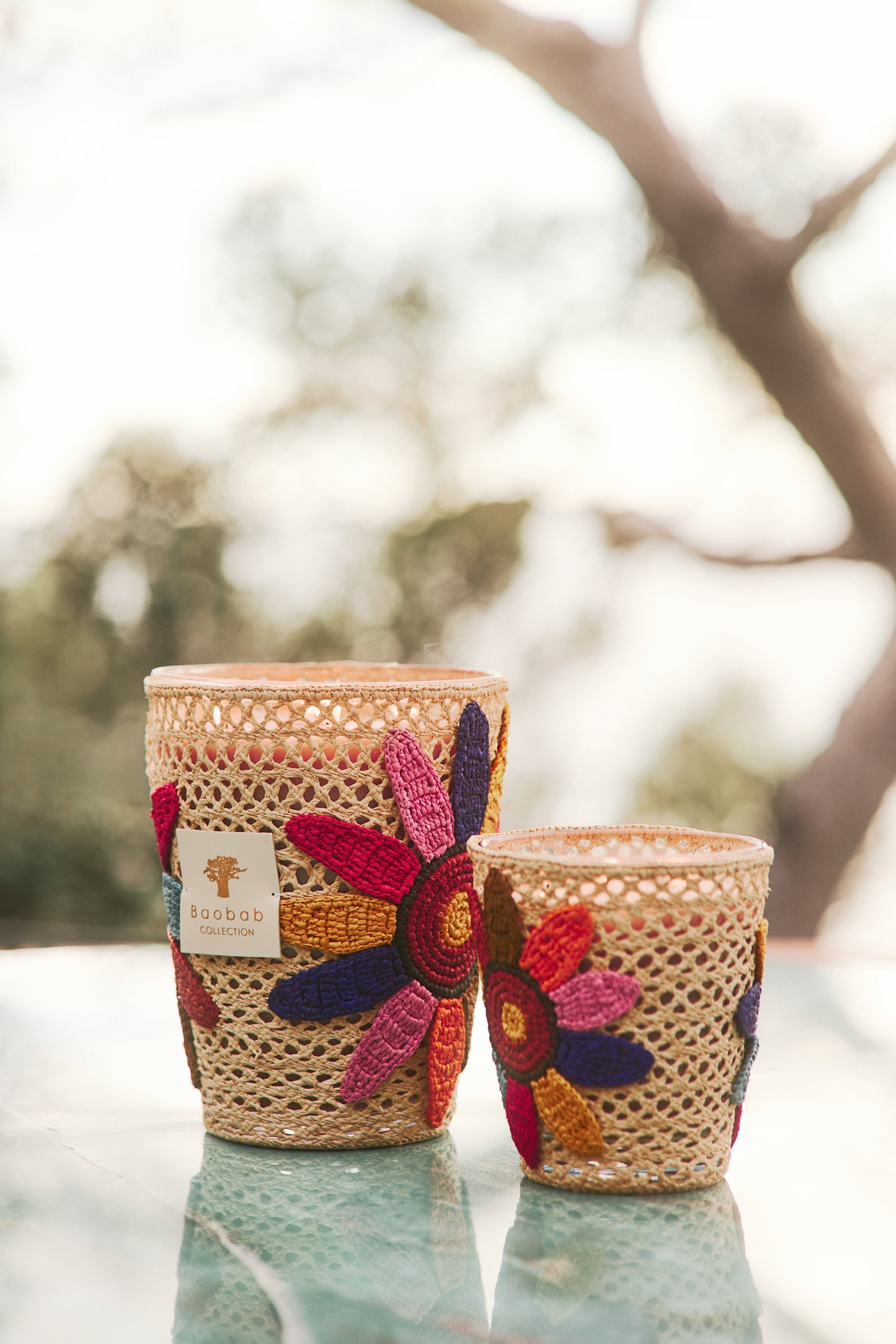 Tournesol Girassol Baobab Collection