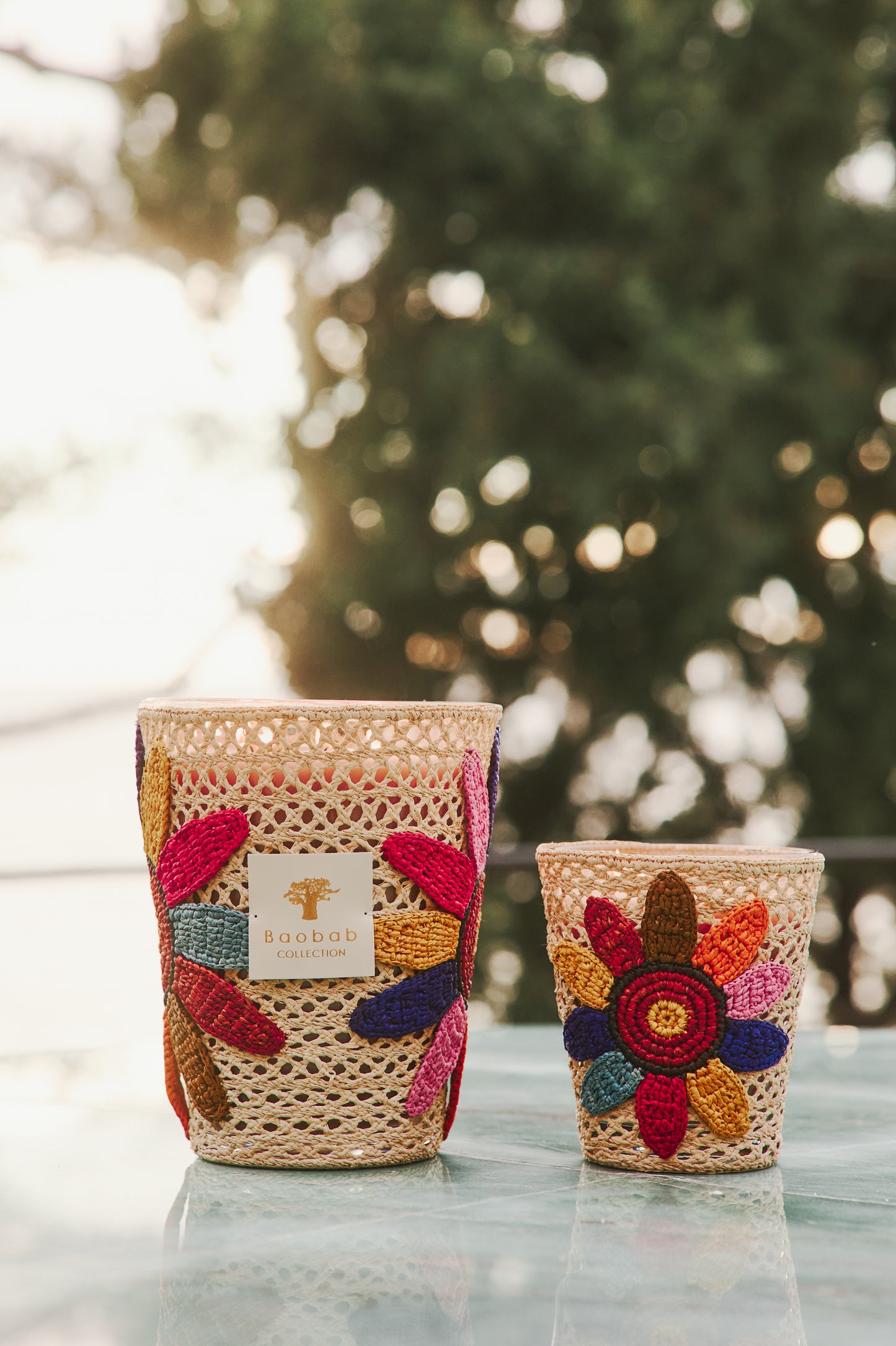 Tournesol Girassol Baobab Collection
