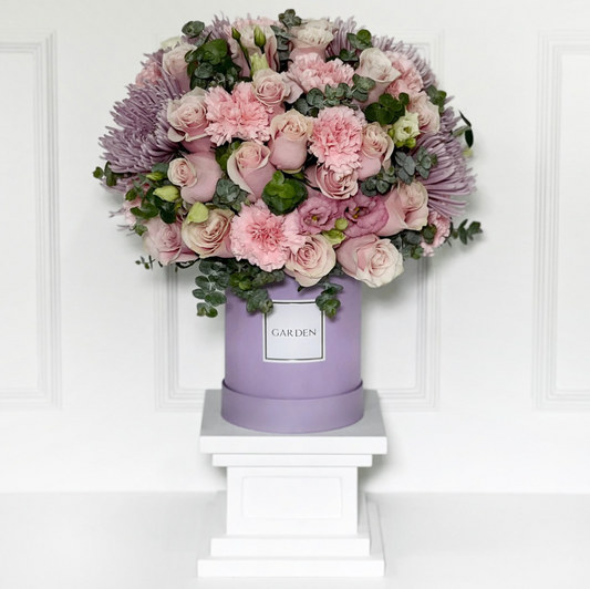 BOX CAMPESTRE PINK