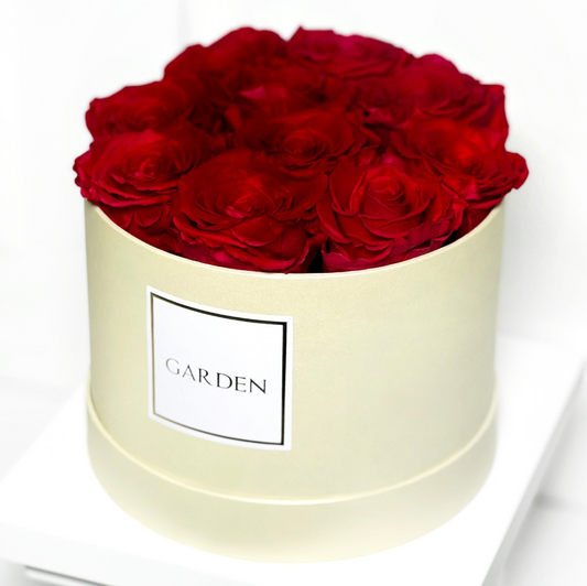 BOX ROSAS PRESERVADAS VERMELHA TAMANHO M