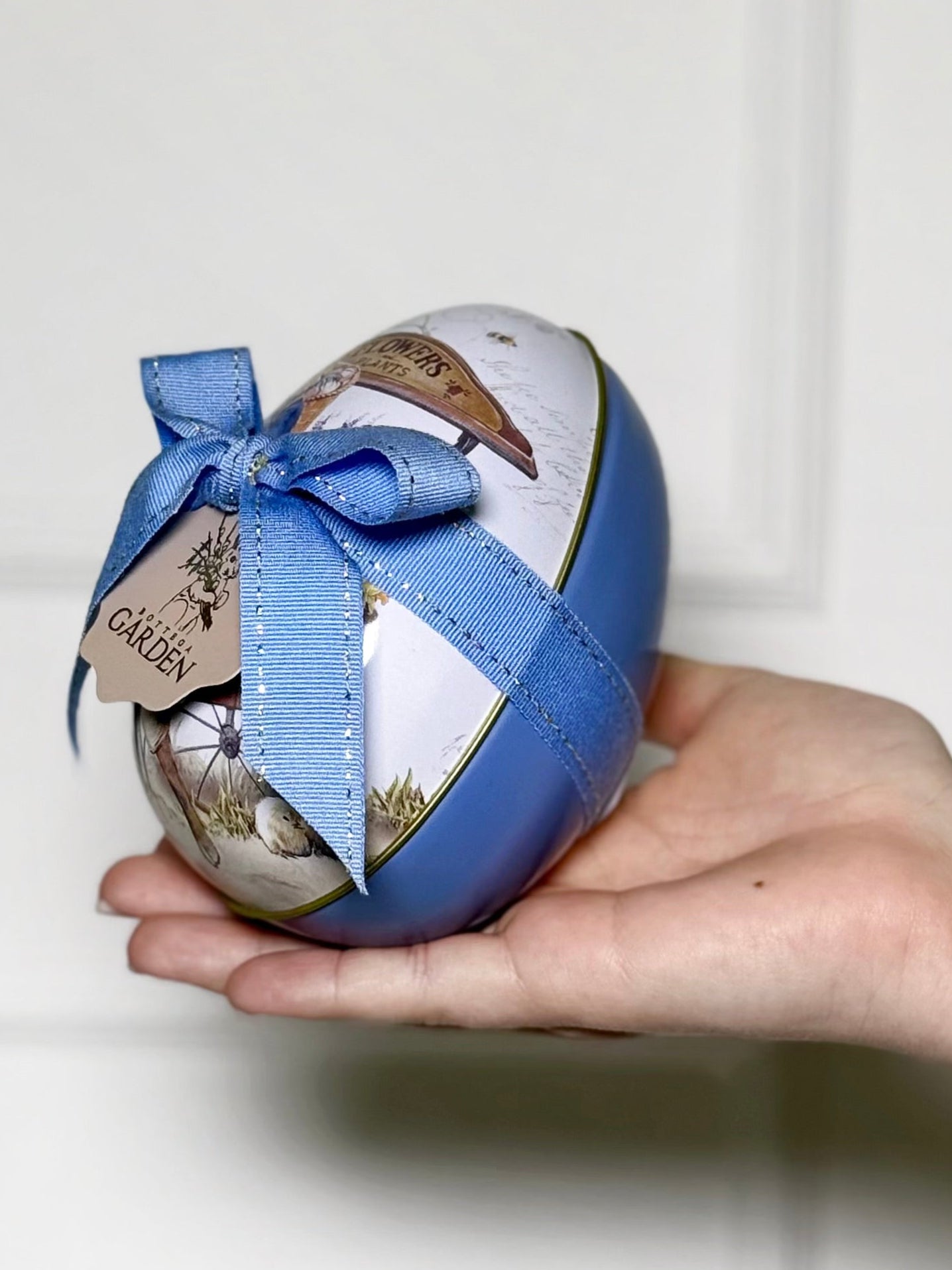 EGG LATA BLUE P
