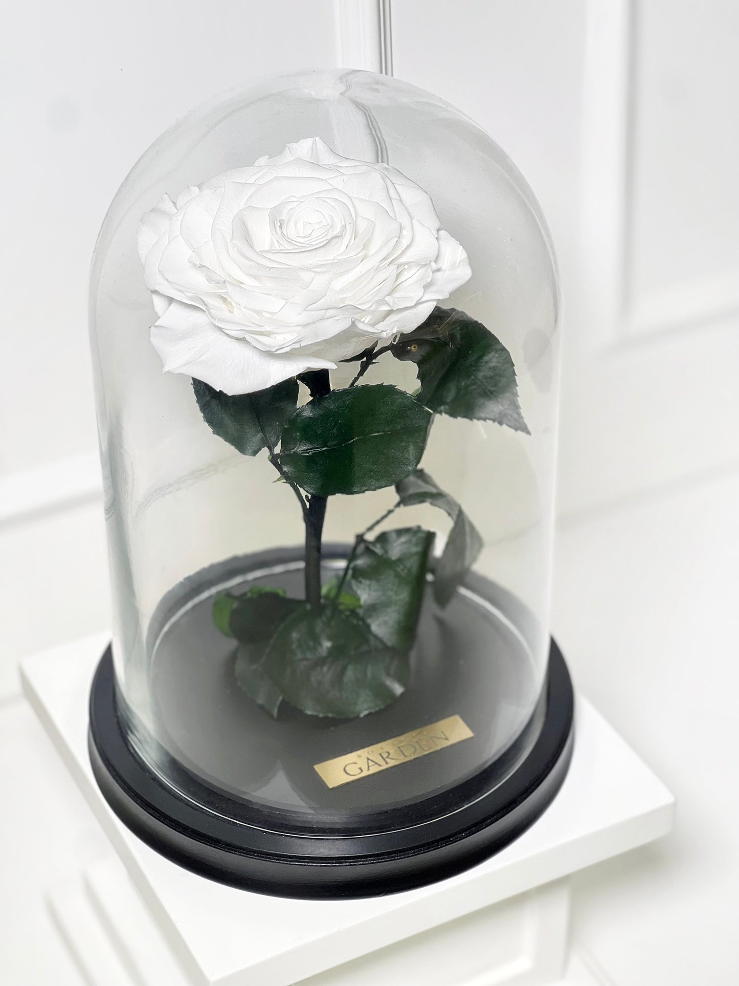 ROSA PRESERVADA WHITE M
