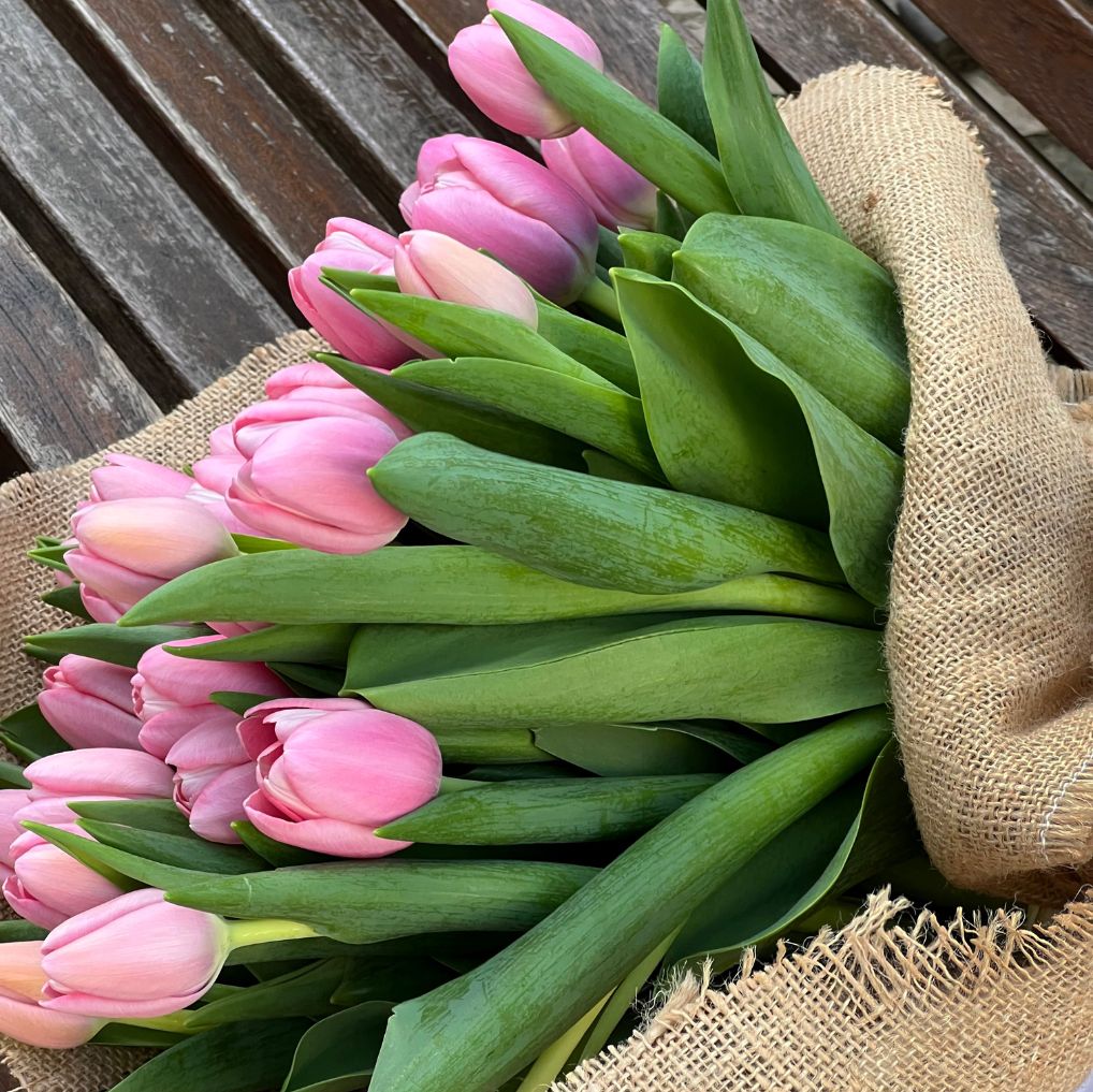 Bouquet Lisse cor de rosa – Bottega Garden