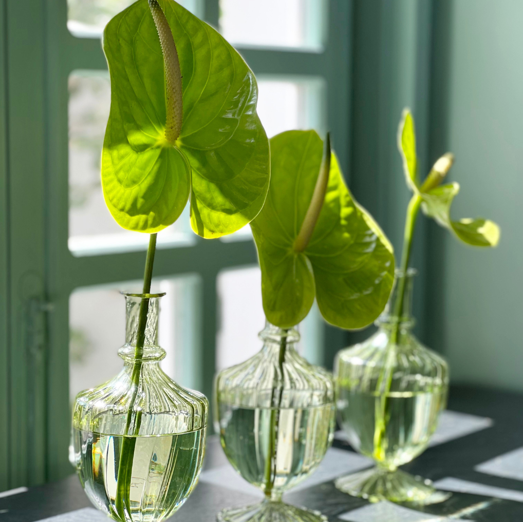 VASO MONOFIORE GREEN COM ANTÚRIO