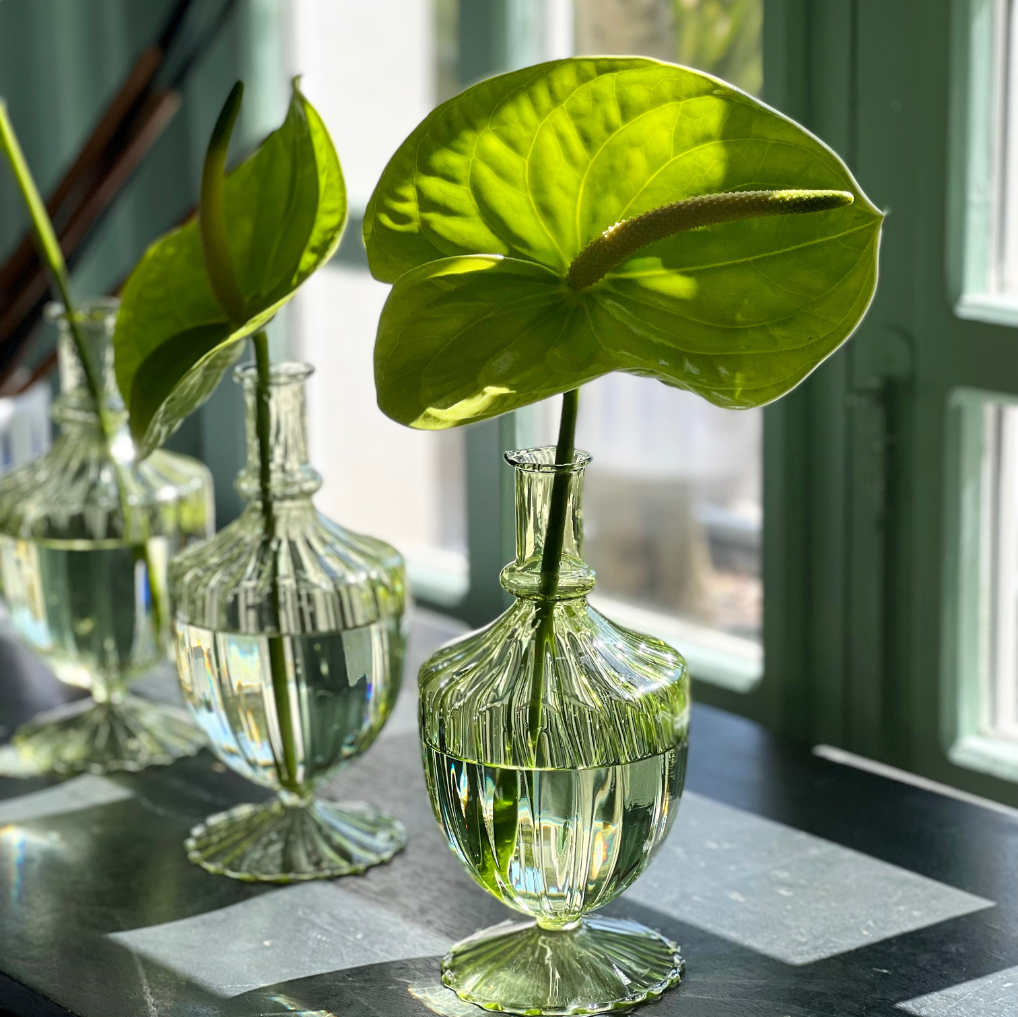 VASO MONOFIORE GREEN COM ANTÚRIO