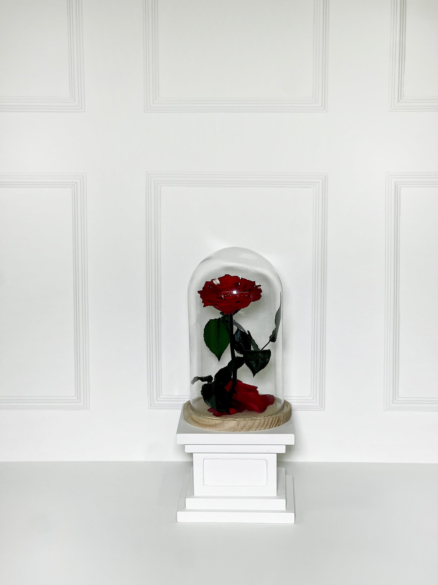 ROSA PRESERVADA VERMELHA TAMANHO M