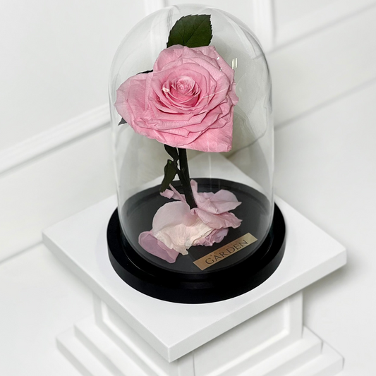 ROSA PRESERVADA PINK HEART