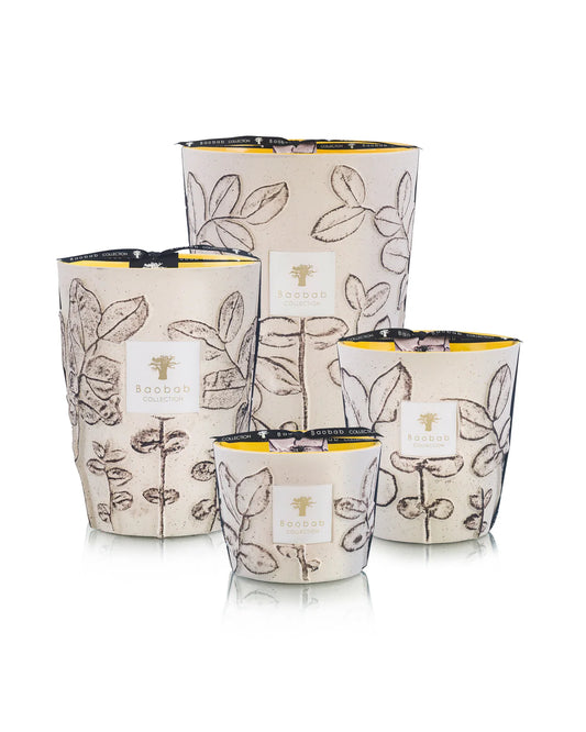 Baobab Colletion Calanque,Edição limitada