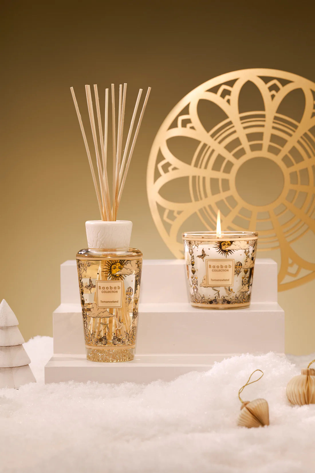 My First Baobab Tomorrowland