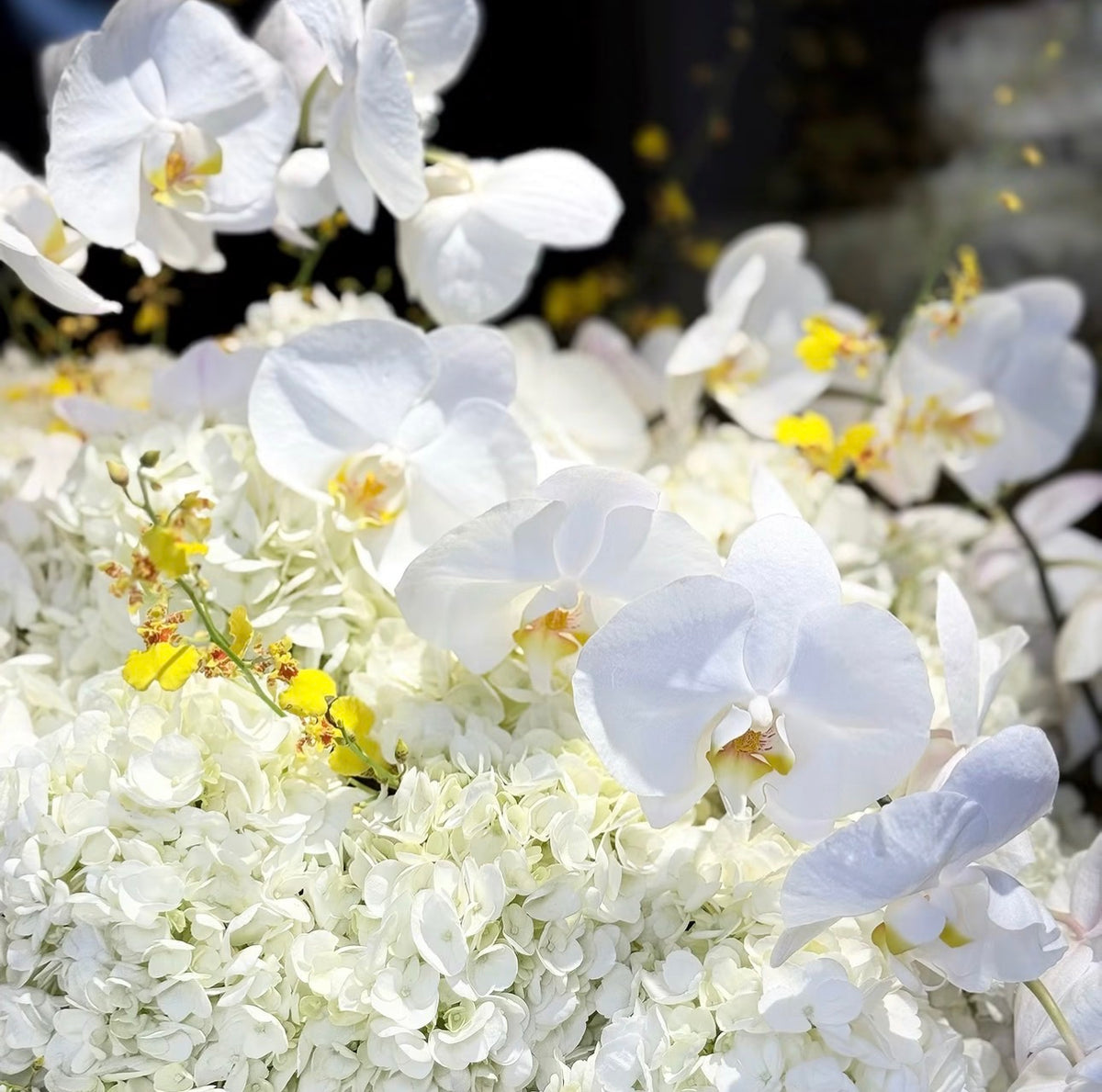 Cesta Signature White — Bottega Garden