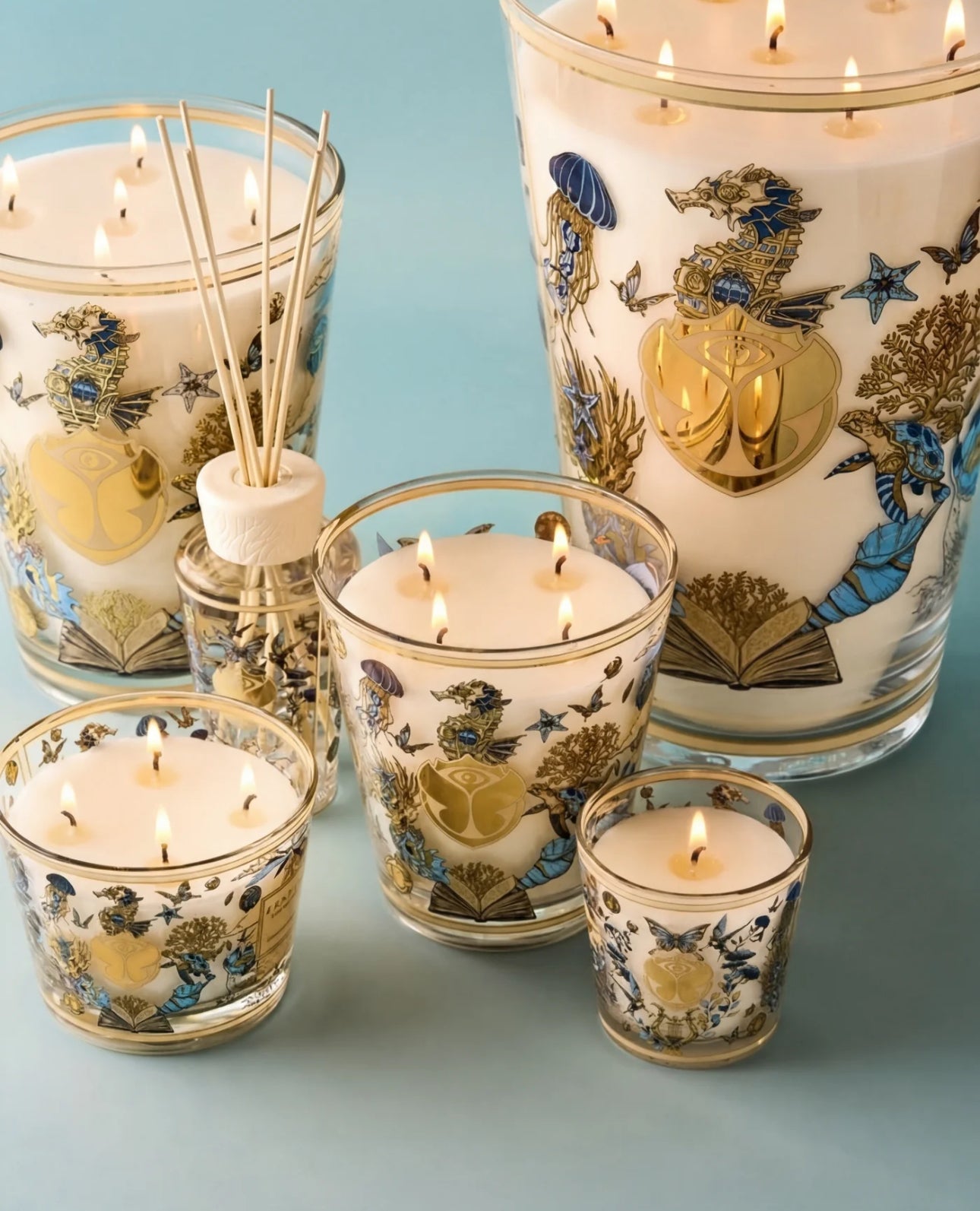 Baobab Collection Tomorrowland