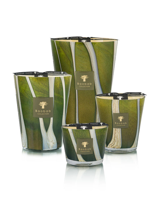 Baobab Collection Woods Sherwood