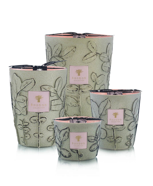 Baobab Collection Folia Maquis
