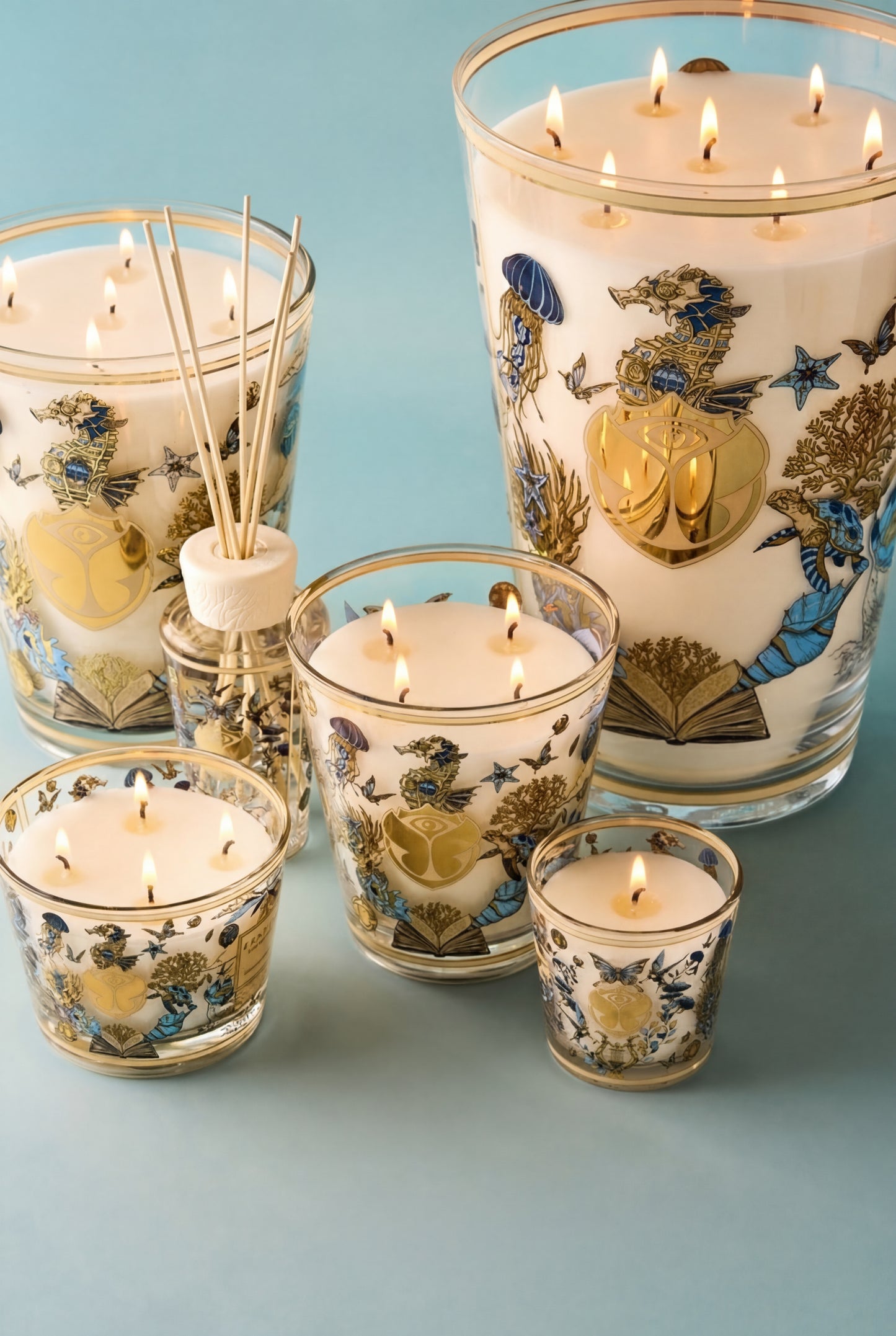 Baobab Collection Tomorrowland