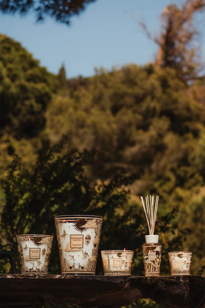 Baobab Collection Tomorrowland