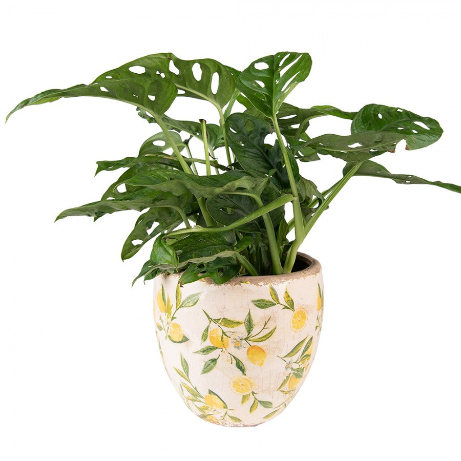 VASO LIMÕES DE CERÂMICA AMARELA 13X12 CM
