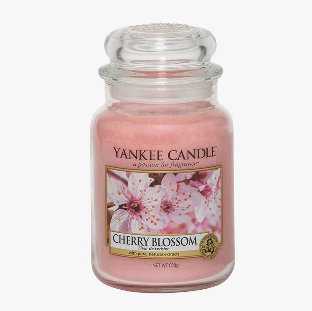 Cherry Blossom