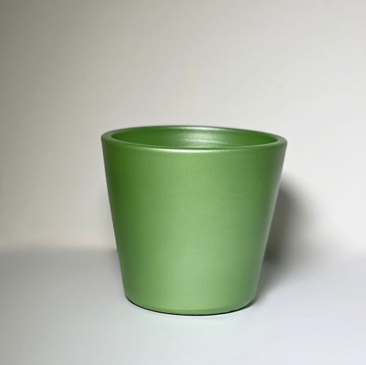 Vaso Direito Green