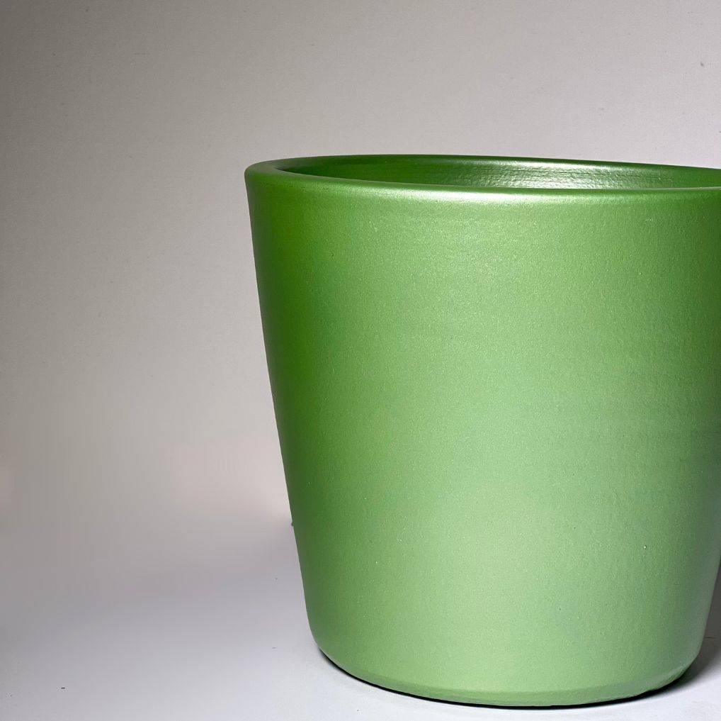 Vaso Direito Green