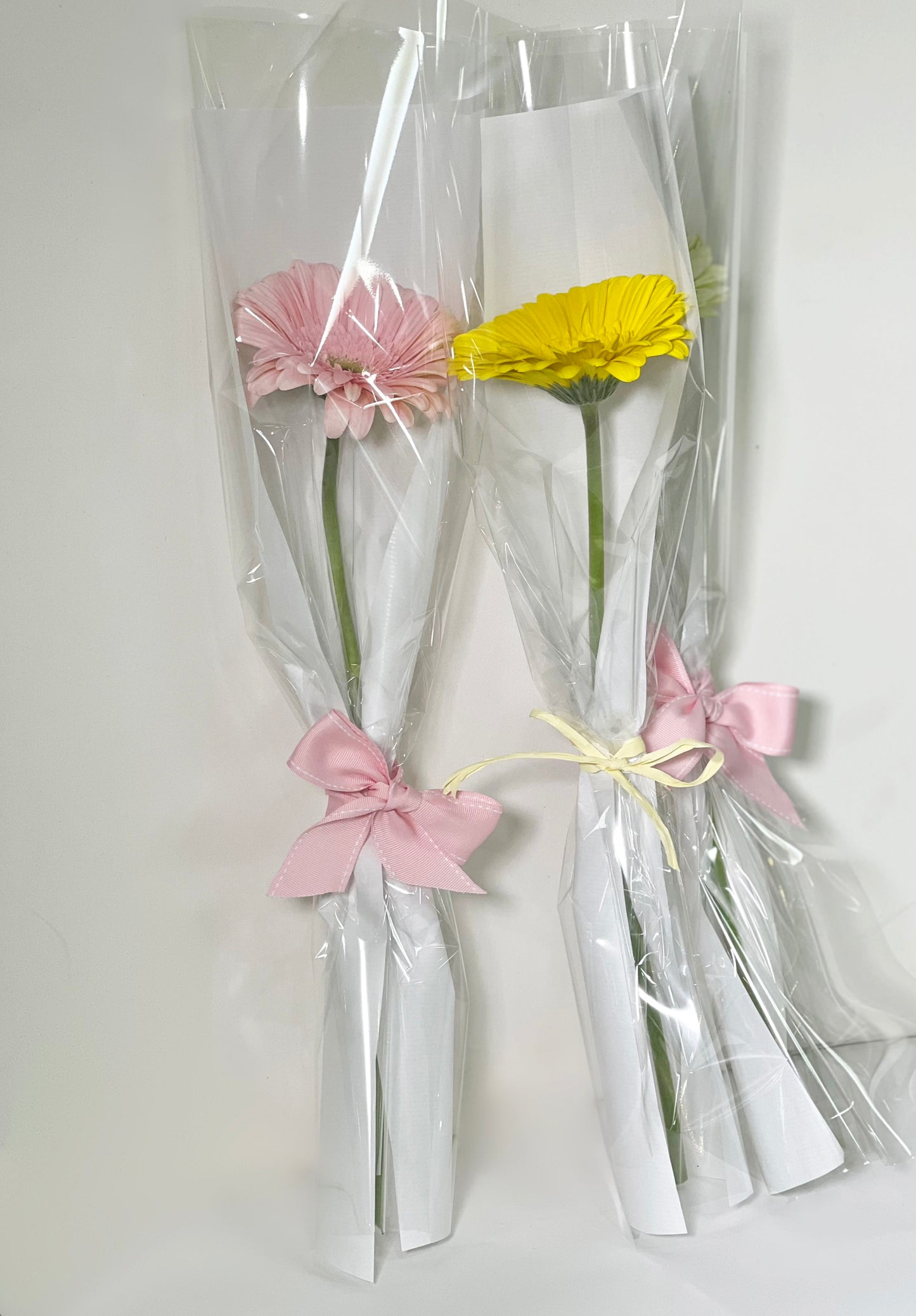 Gerberas unidades Women's Day