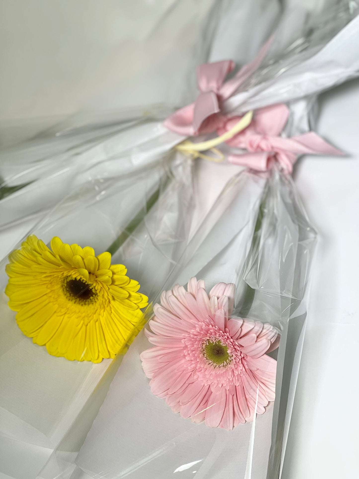 Gerberas unidades Women's Day