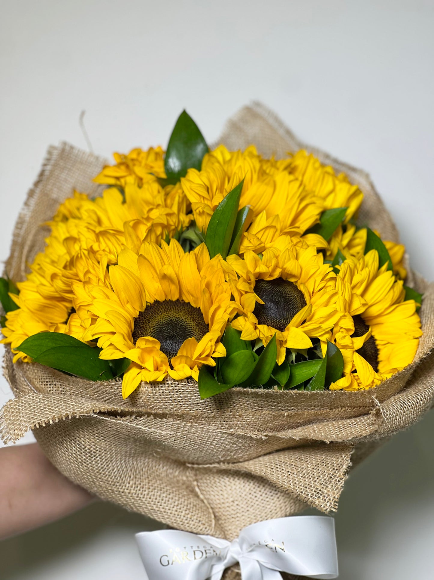 Bouquet Farm Sun